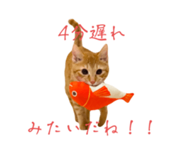 745960036