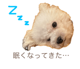 745963362