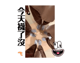 745977621
