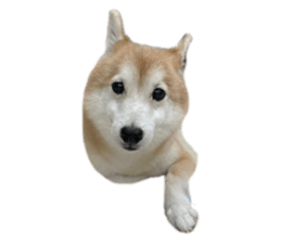 745980235