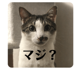 745984924