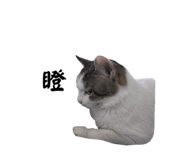 745985451