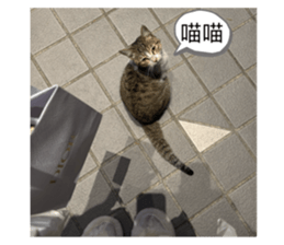 745985460