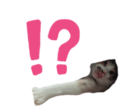 745988870