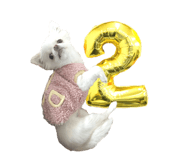 745990050