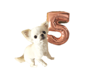 745990053