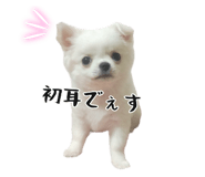 745990060