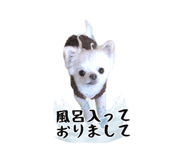 745990062