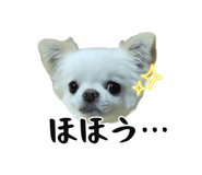 745990063