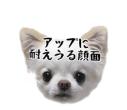 745990066