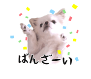 745990070