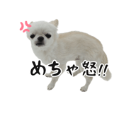 745990071
