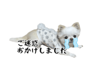 745990076