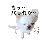 745990079