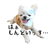 745990080