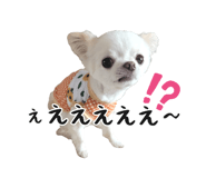 745990081