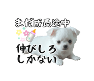 745990083