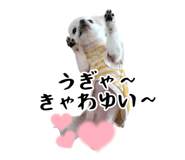 745990085