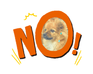 746022378