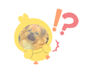 746022382