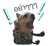 746028034