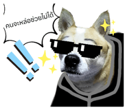 746028038