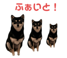 746030601