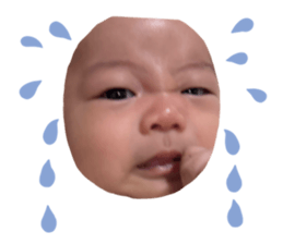 746033537