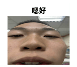 746034838