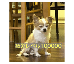 746038699