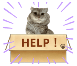 746054990