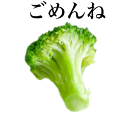 746055736