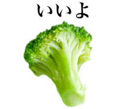 746055737
