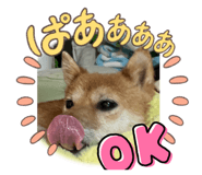 746061060