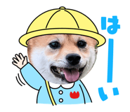 746061061