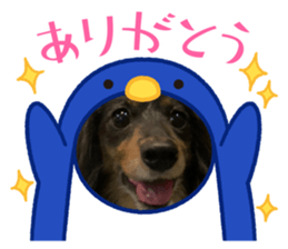 746064020