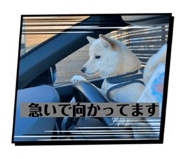 746065275