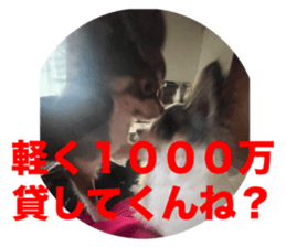 746065328