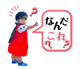 746065446