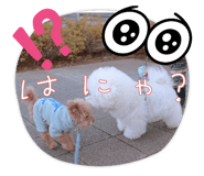 746065847