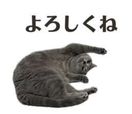 746070145