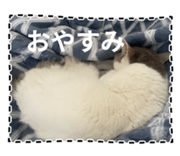 746070171
