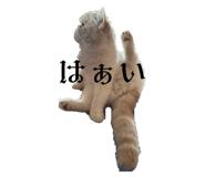 746071706