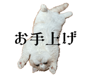 746071709
