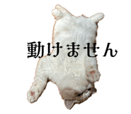 746071711