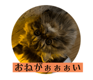 746071722
