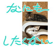 746071729