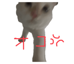 746072315