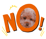 746077850