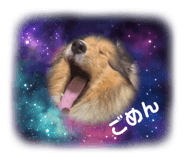 746176786